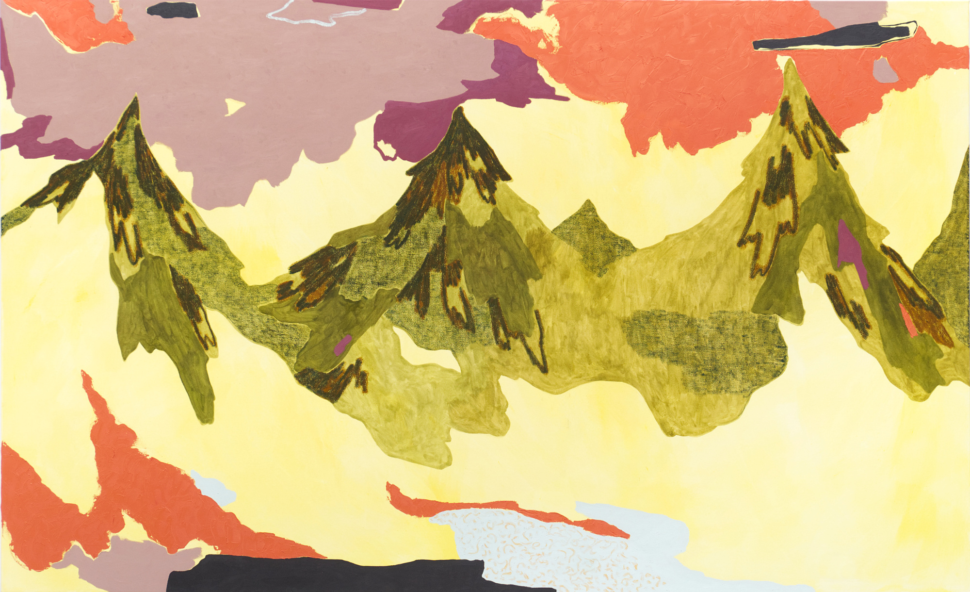 The Forest Burns Beneath the Treetops